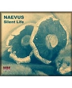 Naevus - Silent Life